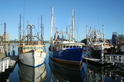Prawn trawlers and fishing boats at dock in the early morning sun.