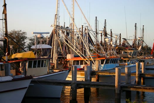 Line of colorful fishing and prawning trawlers at dock at sunset.