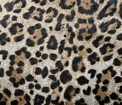 Abstract animal texture

