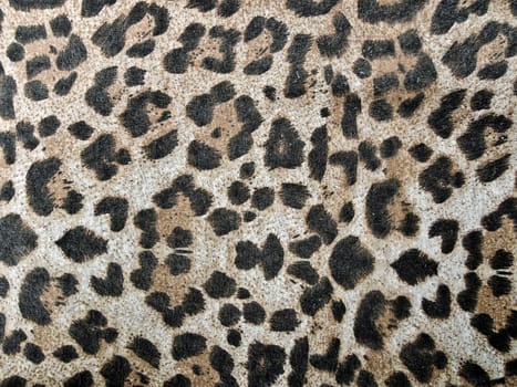 Abstract leopard texture