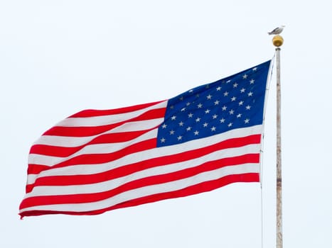 american flag flying in a light breeze