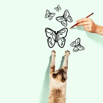 Image of siamese cat catching drawn butterfly