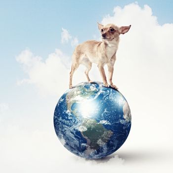 Dog with the Earth planet. Funny collage. Elements of this image are furnished by NASA