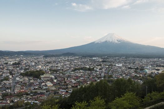 Mt Fuji with city view