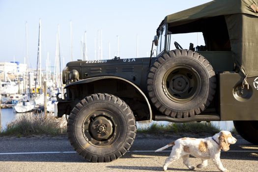 IJMUIDEN, THE NETHERLANDS-MAY 5 2013: Army trucks of organization Kelly's Heroes riding on beach on May 5,2013 in IJmuiden, The Netherlands. Simulate arrival of allies on liberation Second World War