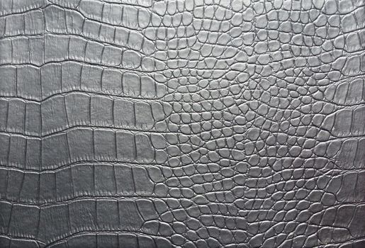 Crocodile skin pattern