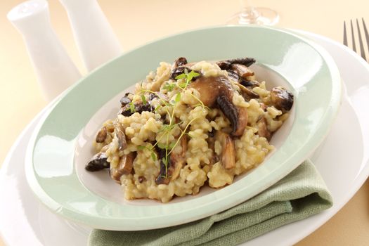 Delicious mushroom risotto served with fresh thyme.