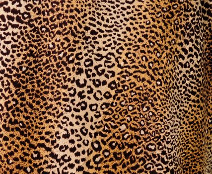 Leopard background