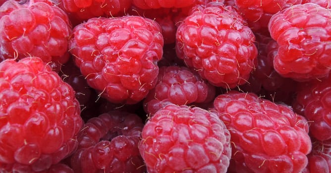 raspberries background


