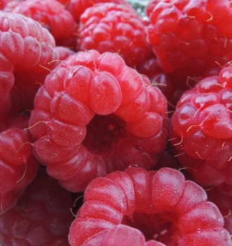 ripe red raspberry macro