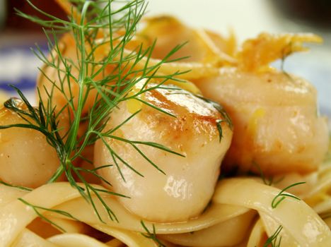 Fettucini with caramelized lemon and dill sea scallops.
