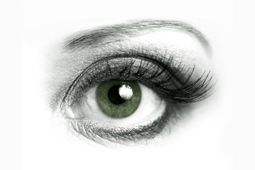 Beautiful green eye of a woman on a white background
