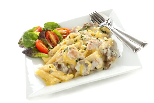 Delicious creamy chicken penne pasta with a garden salad.