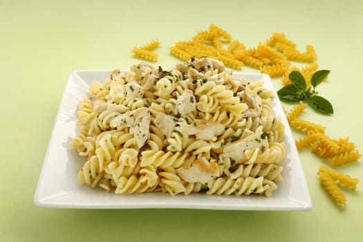 Delicious creamy chicken with spiral pasta ready to serve.