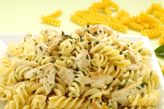 Delicious creamy chicken with spiral pasta ready to serve.