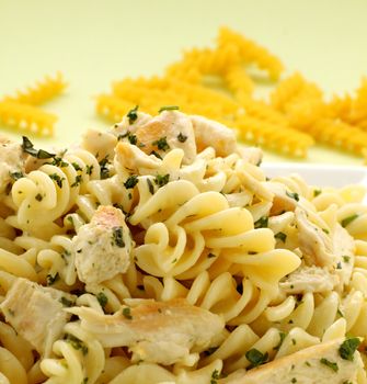 Delicious creamy chicken with spiral pasta ready to serve.