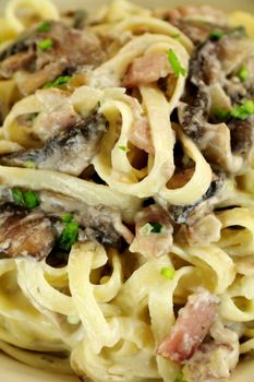 Delicious freshly made fettucini carbonara ready to serve.