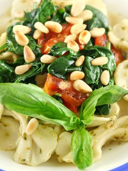 Pasta with pesto and spinach, cherry tomatoes and pine nuts.