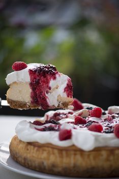 Piece of delicious raspberry & blackberry cheese cake