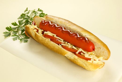 Freshly prepared hot dog with shredded cheddar and parsley.