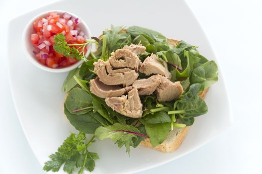 Delicious freshly prepared open tuna salad sandwich with tomato and spanish onions.