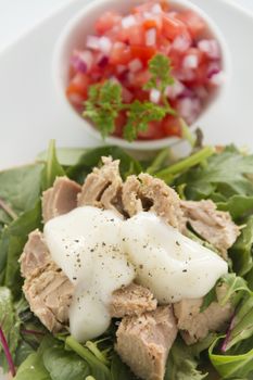 Delicious freshly prepared open tuna salad sandwich with mayo, tomato and spanish onions.