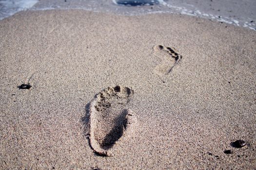 Footprints along the edge of sea