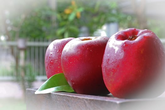 Three apples on the wood