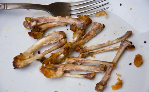 chicken bone on dish for dog