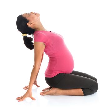 Pregnancy yoga. Full length healthy Asian pregnant woman doing yoga exercising stretching, fullbody isolated on white background. 