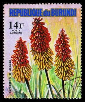 REPUBLIC OF BURUNDI - CIRCA 1974: A stamp printed in Republic of Burundi shows Kniphofia "Royal Standard", series, circa 1974