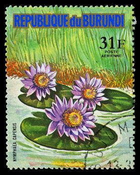 REPUBLIC OF BURUNDI - CIRCA 1974: A stamp printed in Republic of Burundi shows Nymphaea Capensis, series, circa 1974