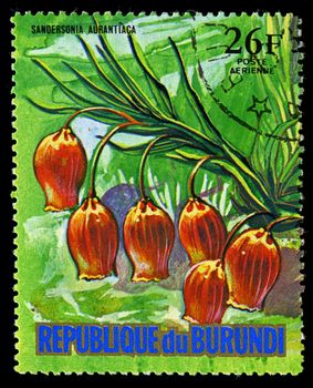 REPUBLIC OF BURUNDI - CIRCA 1974: A stamp printed in Republic of Burundi shows Sandersonia Aurantiaca, series, circa 1974