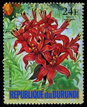 REPUBLIC OF BURUNDI - CIRCA 1974: A stamp printed in Republic of Burundi shows Nerine Sarniensis, series, circa 1974