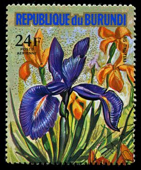 REPUBLIC OF BURUNDI - CIRCA 1974: A stamp printed in Republic of Burundi shows Iris Tingitana , series, circa 1974