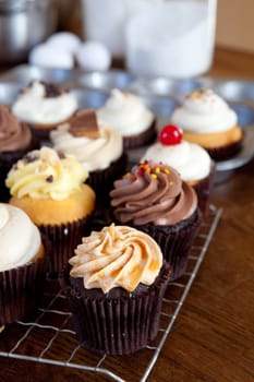 Close up of some decadent gourmet cupcakes frosted with a variety of frosting flavors. Shallow depth of field.