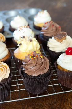 Close up of some decadent gourmet cupcakes frosted with a variety of frosting flavors. Shallow depth of field.