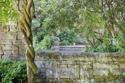 Old Stacked Stone Wall Structure with Wisteria Climbing Vines at Neighborhood Public Parks