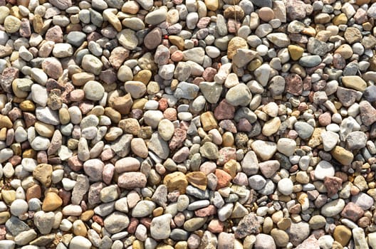 closeup of many little pebble stonnies on baltic sea coast coastline