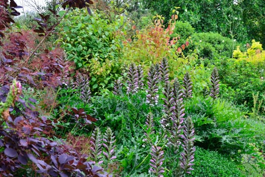 Garden Border