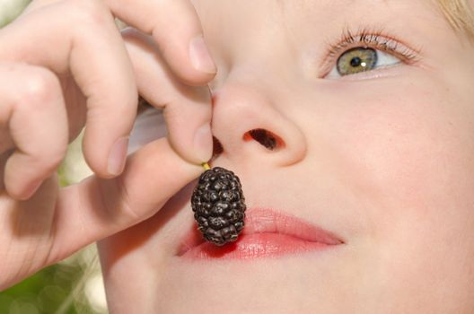 Little girl holding in hand and eating the mulberry fruit