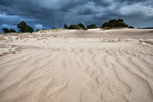 windy sand texture on dune and clouded sky