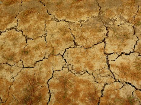 Dry and barren soil texture