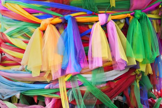 Ribbons around a sacred Bodhi tree, Bangkok, Thailand