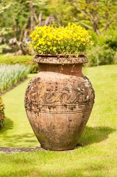 Earthenware jug with flowers in the public garden of Villa Taranto, Italy