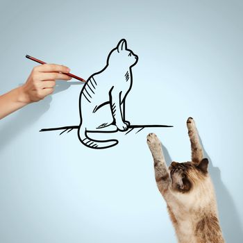 Image of siamese cat catching drawn cat