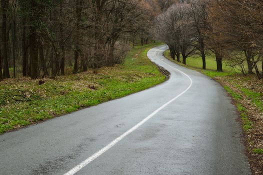 Curvy asphalt road winding through countryside. Spring rain