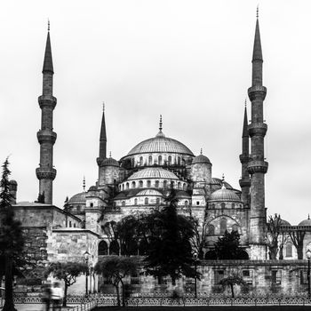 The Sultan Ahmed Mosque is an historic mosque in Istanbul. The mosque is popularly known as the Blue Mosque for the blue tiles adorning the walls of its interior. Black and white.