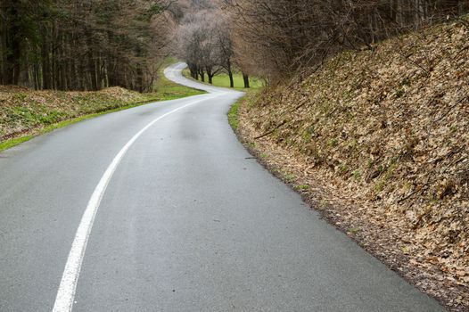 Curvy asphalt road winding through countryside. Spring rain