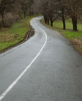 Curvy asphalt road winding through countryside. Spring rain